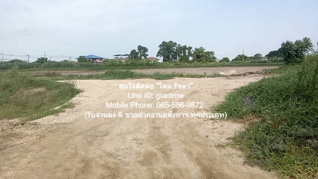 ประกาศฟรี! ซื้อ-ขาย-เช่า คอนโด บ้าน ทาวน์โฮม ที่ดิน และพื้นที่เชิงพาณิชย์ทั่วประเทศไทย ทุกทำเล ทุกงบประมาณ ไม่มีค่าใช้จ่าย ลงง่าย ขายไว เข้าถึงผู้ซื้อโดยตรง 4 16499pic3.jpg