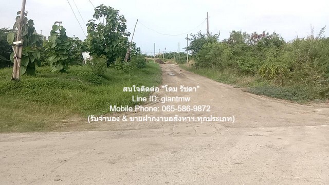 ประกาศฟรี! ซื้อ-ขาย-เช่า คอนโด บ้าน ทาวน์โฮม ที่ดิน และพื้นที่เชิงพาณิชย์ทั่วประเทศไทย ทุกทำเล ทุกงบประมาณ ไม่มีค่าใช้จ่าย ลงง่าย ขายไว เข้าถึงผู้ซื้อโดยตรง 5 16499pic4.jpg