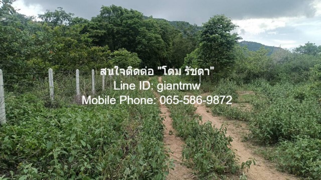 ประกาศฟรี! ซื้อ-ขาย-เช่า คอนโด บ้าน ทาวน์โฮม ที่ดิน และพื้นที่เชิงพาณิชย์ทั่วประเทศไทย ทุกทำเล ทุกงบประมาณ ไม่มีค่าใช้จ่าย ลงง่าย ขายไว เข้าถึงผู้ซื้อโดยตรง 3 16383pic2.jpg