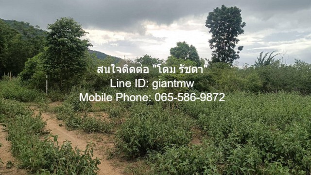 ประกาศฟรี! ซื้อ-ขาย-เช่า คอนโด บ้าน ทาวน์โฮม ที่ดิน และพื้นที่เชิงพาณิชย์ทั่วประเทศไทย ทุกทำเล ทุกงบประมาณ ไม่มีค่าใช้จ่าย ลงง่าย ขายไว เข้าถึงผู้ซื้อโดยตรง 4 16383pic3.jpg