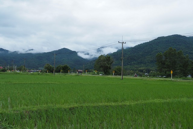 ประกาศฟรี! ซื้อ-ขาย-เช่า คอนโด บ้าน ทาวน์โฮม ที่ดิน และพื้นที่เชิงพาณิชย์ทั่วประเทศไทย ทุกทำเล ทุกงบประมาณ ไม่มีค่าใช้จ่าย ลงง่าย ขายไว เข้าถึงผู้ซื้อโดยตรง 3 274340pic2.jpg