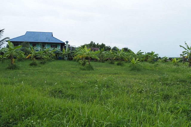 ประกาศฟรี! ซื้อ-ขาย-เช่า คอนโด บ้าน ทาวน์โฮม ที่ดิน และพื้นที่เชิงพาณิชย์ทั่วประเทศไทย ทุกทำเล ทุกงบประมาณ ไม่มีค่าใช้จ่าย ลงง่าย ขายไว เข้าถึงผู้ซื้อโดยตรง 5 274340pic4.jpg