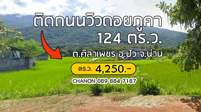ประกาศฟรี! ซื้อ-ขาย-เช่า คอนโด บ้าน ทาวน์โฮม ที่ดิน และพื้นที่เชิงพาณิชย์ทั่วประเทศไทย ทุกทำเล ทุกงบประมาณ ไม่มีค่าใช้จ่าย ลงง่าย ขายไว เข้าถึงผู้ซื้อโดยตรง 2 274337pic1.jpg