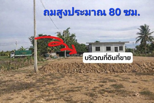 ประกาศฟรี! ซื้อ-ขาย-เช่า คอนโด บ้าน ทาวน์โฮม ที่ดิน และพื้นที่เชิงพาณิชย์ทั่วประเทศไทย ทุกทำเล ทุกงบประมาณ ไม่มีค่าใช้จ่าย ลงง่าย ขายไว เข้าถึงผู้ซื้อโดยตรง 2 322002pic1.jpg