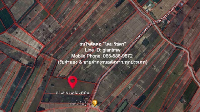 ประกาศฟรี! ซื้อ-ขาย-เช่า คอนโด บ้าน ทาวน์โฮม ที่ดิน และพื้นที่เชิงพาณิชย์ทั่วประเทศไทย ทุกทำเล ทุกงบประมาณ ไม่มีค่าใช้จ่าย ลงง่าย ขายไว เข้าถึงผู้ซื้อโดยตรง 3 15467pic2.jpg