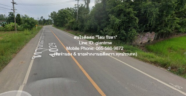 ประกาศฟรี! ซื้อ-ขาย-เช่า คอนโด บ้าน ทาวน์โฮม ที่ดิน และพื้นที่เชิงพาณิชย์ทั่วประเทศไทย ทุกทำเล ทุกงบประมาณ ไม่มีค่าใช้จ่าย ลงง่าย ขายไว เข้าถึงผู้ซื้อโดยตรง 5 15467pic4.jpg