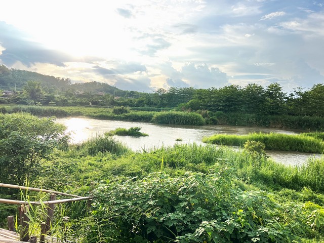 ประกาศฟรี! ซื้อ-ขาย-เช่า คอนโด บ้าน ทาวน์โฮม ที่ดิน และพื้นที่เชิงพาณิชย์ทั่วประเทศไทย ทุกทำเล ทุกงบประมาณ ไม่มีค่าใช้จ่าย ลงง่าย ขายไว เข้าถึงผู้ซื้อโดยตรง 2 274369pic1.jpg