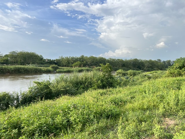 ประกาศฟรี! ซื้อ-ขาย-เช่า คอนโด บ้าน ทาวน์โฮม ที่ดิน และพื้นที่เชิงพาณิชย์ทั่วประเทศไทย ทุกทำเล ทุกงบประมาณ ไม่มีค่าใช้จ่าย ลงง่าย ขายไว เข้าถึงผู้ซื้อโดยตรง 3 274369pic2.jpg