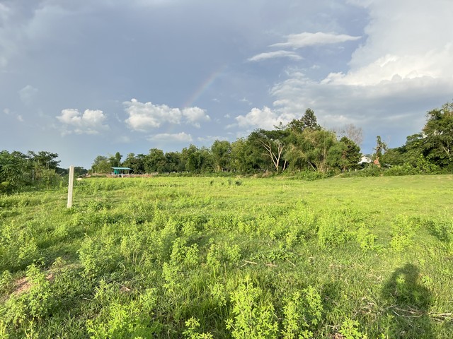 ประกาศฟรี! ซื้อ-ขาย-เช่า คอนโด บ้าน ทาวน์โฮม ที่ดิน และพื้นที่เชิงพาณิชย์ทั่วประเทศไทย ทุกทำเล ทุกงบประมาณ ไม่มีค่าใช้จ่าย ลงง่าย ขายไว เข้าถึงผู้ซื้อโดยตรง 5 274369pic4.jpg