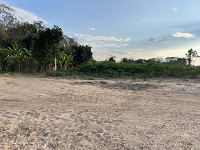 ประกาศฟรี! ซื้อ-ขาย-เช่า คอนโด บ้าน ทาวน์โฮม ที่ดิน และพื้นที่เชิงพาณิชย์ทั่วประเทศไทย ทุกทำเล ทุกงบประมาณ ไม่มีค่าใช้จ่าย ลงง่าย ขายไว เข้าถึงผู้ซื้อโดยตรง 3 274368pic2.jpg