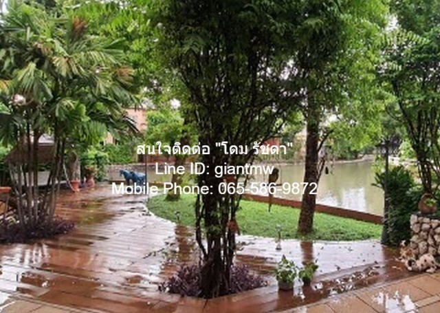 ประกาศฟรี! ซื้อ-ขาย-เช่า คอนโด บ้าน ทาวน์โฮม ที่ดิน และพื้นที่เชิงพาณิชย์ทั่วประเทศไทย ทุกทำเล ทุกงบประมาณ ไม่มีค่าใช้จ่าย ลงง่าย ขายไว เข้าถึงผู้ซื้อโดยตรง 5 13578pic4.jpg