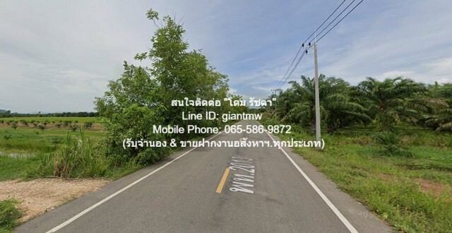 ประกาศฟรี! ซื้อ-ขาย-เช่า คอนโด บ้าน ทาวน์โฮม ที่ดิน และพื้นที่เชิงพาณิชย์ทั่วประเทศไทย ทุกทำเล ทุกงบประมาณ ไม่มีค่าใช้จ่าย ลงง่าย ขายไว เข้าถึงผู้ซื้อโดยตรง 5 11446pic4.jpg