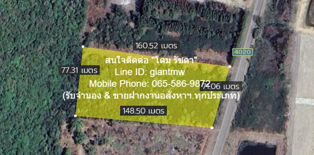 ประกาศฟรี! ซื้อ-ขาย-เช่า คอนโด บ้าน ทาวน์โฮม ที่ดิน และพื้นที่เชิงพาณิชย์ทั่วประเทศไทย ทุกทำเล ทุกงบประมาณ ไม่มีค่าใช้จ่าย ลงง่าย ขายไว เข้าถึงผู้ซื้อโดยตรง 2 8264pic1.jpg