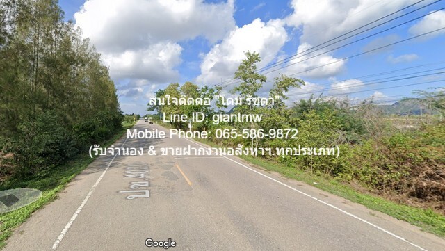 ประกาศฟรี! ซื้อ-ขาย-เช่า คอนโด บ้าน ทาวน์โฮม ที่ดิน และพื้นที่เชิงพาณิชย์ทั่วประเทศไทย ทุกทำเล ทุกงบประมาณ ไม่มีค่าใช้จ่าย ลงง่าย ขายไว เข้าถึงผู้ซื้อโดยตรง 3 8264pic2.jpg