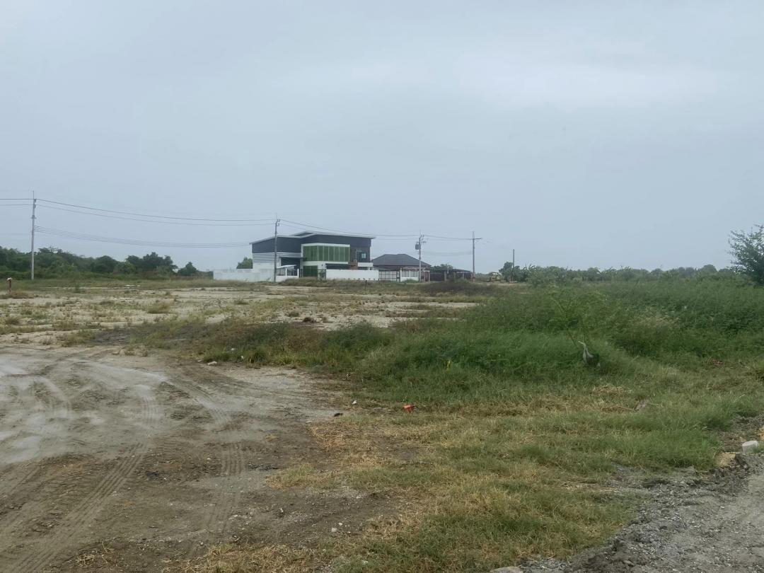 ประกาศฟรี! ซื้อ-ขาย-เช่า คอนโด บ้าน ทาวน์โฮม ที่ดิน และพื้นที่เชิงพาณิชย์ทั่วประเทศไทย ทุกทำเล ทุกงบประมาณ ไม่มีค่าใช้จ่าย ลงง่าย ขายไว เข้าถึงผู้ซื้อโดยตรง 2 274383pic1.jpg