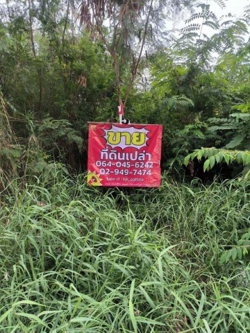 ประกาศฟรี! ซื้อ-ขาย-เช่า คอนโด บ้าน ทาวน์โฮม ที่ดิน และพื้นที่เชิงพาณิชย์ทั่วประเทศไทย ทุกทำเล ทุกงบประมาณ ไม่มีค่าใช้จ่าย ลงง่าย ขายไว เข้าถึงผู้ซื้อโดยตรง 3 529034pic2.jpg