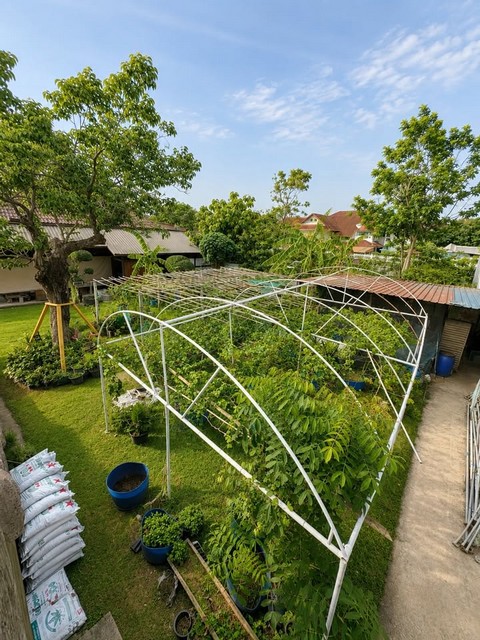 ประกาศฟรี! ซื้อ-ขาย-เช่า คอนโด บ้าน ทาวน์โฮม ที่ดิน และพื้นที่เชิงพาณิชย์ทั่วประเทศไทย ทุกทำเล ทุกงบประมาณ ไม่มีค่าใช้จ่าย ลงง่าย ขายไว เข้าถึงผู้ซื้อโดยตรง 5 528482pic4.jpg