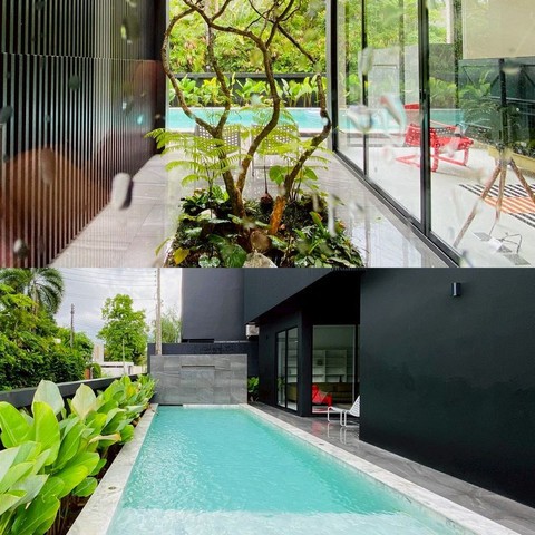 ประกาศฟรี! ซื้อ-ขาย-เช่า คอนโด บ้าน ทาวน์โฮม ที่ดิน และพื้นที่เชิงพาณิชย์ทั่วประเทศไทย ทุกทำเล ทุกงบประมาณ ไม่มีค่าใช้จ่าย ลงง่าย ขายไว เข้าถึงผู้ซื้อโดยตรง 3 275018pic2.jpg