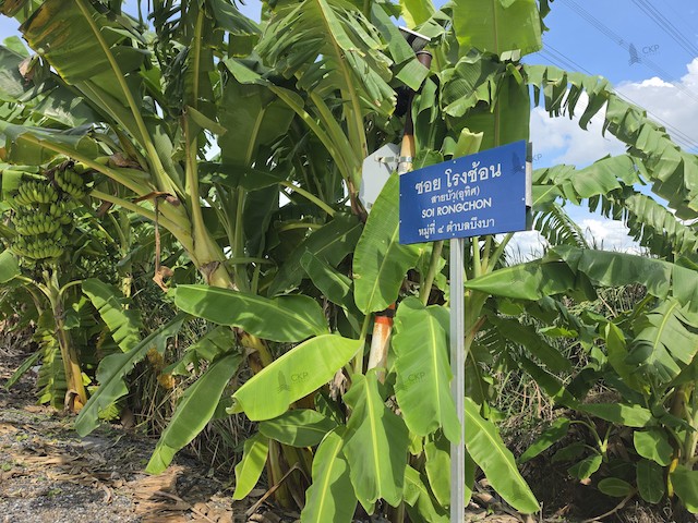 ประกาศฟรี! ซื้อ-ขาย-เช่า คอนโด บ้าน ทาวน์โฮม ที่ดิน และพื้นที่เชิงพาณิชย์ทั่วประเทศไทย ทุกทำเล ทุกงบประมาณ ไม่มีค่าใช้จ่าย ลงง่าย ขายไว เข้าถึงผู้ซื้อโดยตรง 2 295346pic1.jpg