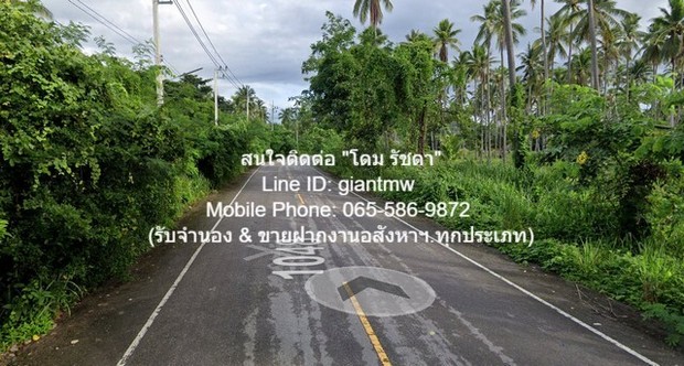 ประกาศฟรี! ซื้อ-ขาย-เช่า คอนโด บ้าน ทาวน์โฮม ที่ดิน และพื้นที่เชิงพาณิชย์ทั่วประเทศไทย ทุกทำเล ทุกงบประมาณ ไม่มีค่าใช้จ่าย ลงง่าย ขายไว เข้าถึงผู้ซื้อโดยตรง 4 5276pic3.jpg