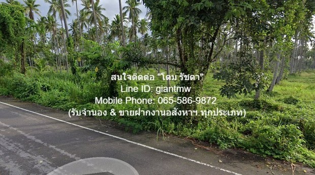 ประกาศฟรี! ซื้อ-ขาย-เช่า คอนโด บ้าน ทาวน์โฮม ที่ดิน และพื้นที่เชิงพาณิชย์ทั่วประเทศไทย ทุกทำเล ทุกงบประมาณ ไม่มีค่าใช้จ่าย ลงง่าย ขายไว เข้าถึงผู้ซื้อโดยตรง 5 5276pic4.jpg
