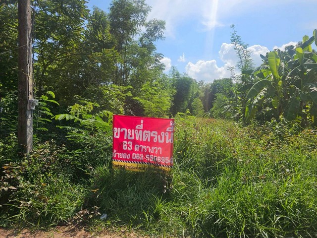 ประกาศฟรี! ซื้อ-ขาย-เช่า คอนโด บ้าน ทาวน์โฮม ที่ดิน และพื้นที่เชิงพาณิชย์ทั่วประเทศไทย ทุกทำเล ทุกงบประมาณ ไม่มีค่าใช้จ่าย ลงง่าย ขายไว เข้าถึงผู้ซื้อโดยตรง 3 323026pic2.jpg