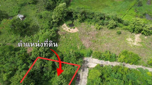 ประกาศฟรี! ซื้อ-ขาย-เช่า คอนโด บ้าน ทาวน์โฮม ที่ดิน และพื้นที่เชิงพาณิชย์ทั่วประเทศไทย ทุกทำเล ทุกงบประมาณ ไม่มีค่าใช้จ่าย ลงง่าย ขายไว เข้าถึงผู้ซื้อโดยตรง 4 275421pic3.jpg