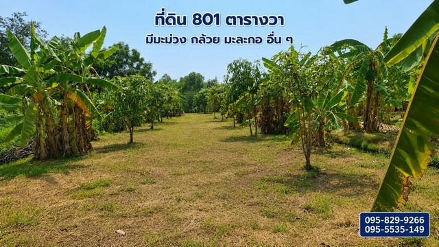 ประกาศฟรี! ซื้อ-ขาย-เช่า คอนโด บ้าน ทาวน์โฮม ที่ดิน และพื้นที่เชิงพาณิชย์ทั่วประเทศไทย ทุกทำเล ทุกงบประมาณ ไม่มีค่าใช้จ่าย ลงง่าย ขายไว เข้าถึงผู้ซื้อโดยตรง 2 529145pic1.jpg