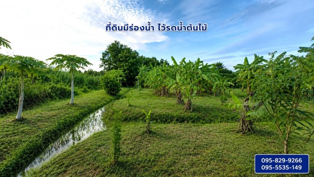 ประกาศฟรี! ซื้อ-ขาย-เช่า คอนโด บ้าน ทาวน์โฮม ที่ดิน และพื้นที่เชิงพาณิชย์ทั่วประเทศไทย ทุกทำเล ทุกงบประมาณ ไม่มีค่าใช้จ่าย ลงง่าย ขายไว เข้าถึงผู้ซื้อโดยตรง 3 529145pic2.jpg