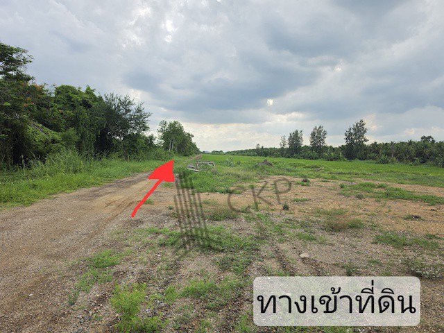 ประกาศฟรี! ซื้อ-ขาย-เช่า คอนโด บ้าน ทาวน์โฮม ที่ดิน และพื้นที่เชิงพาณิชย์ทั่วประเทศไทย ทุกทำเล ทุกงบประมาณ ไม่มีค่าใช้จ่าย ลงง่าย ขายไว เข้าถึงผู้ซื้อโดยตรง 2 295438pic1.jpg