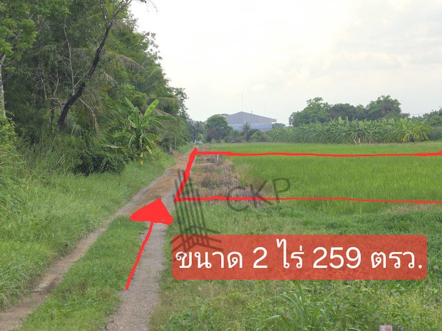 ประกาศฟรี! ซื้อ-ขาย-เช่า คอนโด บ้าน ทาวน์โฮม ที่ดิน และพื้นที่เชิงพาณิชย์ทั่วประเทศไทย ทุกทำเล ทุกงบประมาณ ไม่มีค่าใช้จ่าย ลงง่าย ขายไว เข้าถึงผู้ซื้อโดยตรง 4 295438pic3.jpg