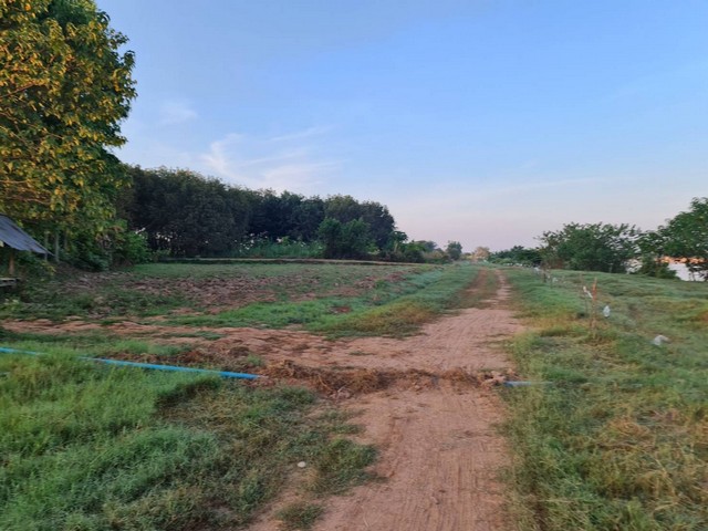 ประกาศฟรี! ซื้อ-ขาย-เช่า คอนโด บ้าน ทาวน์โฮม ที่ดิน และพื้นที่เชิงพาณิชย์ทั่วประเทศไทย ทุกทำเล ทุกงบประมาณ ไม่มีค่าใช้จ่าย ลงง่าย ขายไว เข้าถึงผู้ซื้อโดยตรง 2 7402pic1.jpg