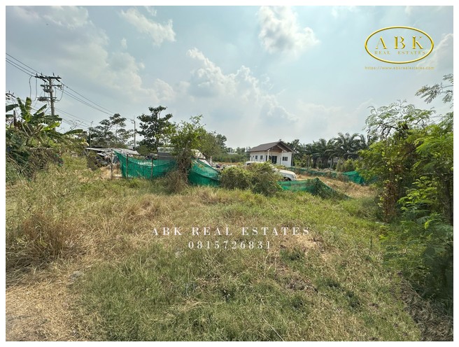 ประกาศฟรี! ซื้อ-ขาย-เช่า คอนโด บ้าน ทาวน์โฮม ที่ดิน และพื้นที่เชิงพาณิชย์ทั่วประเทศไทย ทุกทำเล ทุกงบประมาณ ไม่มีค่าใช้จ่าย ลงง่าย ขายไว เข้าถึงผู้ซื้อโดยตรง 2 313956pic1.jpg