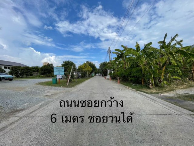 ประกาศฟรี! ซื้อ-ขาย-เช่า คอนโด บ้าน ทาวน์โฮม ที่ดิน และพื้นที่เชิงพาณิชย์ทั่วประเทศไทย ทุกทำเล ทุกงบประมาณ ไม่มีค่าใช้จ่าย ลงง่าย ขายไว เข้าถึงผู้ซื้อโดยตรง 2 322341pic1.jpg
