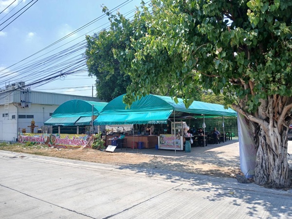 ประกาศฟรี! ซื้อ-ขาย-เช่า คอนโด บ้าน ทาวน์โฮม ที่ดิน และพื้นที่เชิงพาณิชย์ทั่วประเทศไทย ทุกทำเล ทุกงบประมาณ ไม่มีค่าใช้จ่าย ลงง่าย ขายไว เข้าถึงผู้ซื้อโดยตรง 22 ขายที่ดินหลังเซเว่น-ลาดปลาเค้า-66-03.jpg
