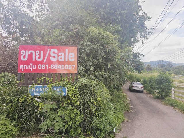 ประกาศฟรี! ซื้อ-ขาย-เช่า คอนโด บ้าน ทาวน์โฮม ที่ดิน และพื้นที่เชิงพาณิชย์ทั่วประเทศไทย ทุกทำเล ทุกงบประมาณ ไม่มีค่าใช้จ่าย ลงง่าย ขายไว เข้าถึงผู้ซื้อโดยตรง 2 16116pic1.jpg