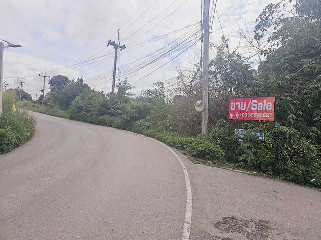 ประกาศฟรี! ซื้อ-ขาย-เช่า คอนโด บ้าน ทาวน์โฮม ที่ดิน และพื้นที่เชิงพาณิชย์ทั่วประเทศไทย ทุกทำเล ทุกงบประมาณ ไม่มีค่าใช้จ่าย ลงง่าย ขายไว เข้าถึงผู้ซื้อโดยตรง 3 16116pic2.jpg