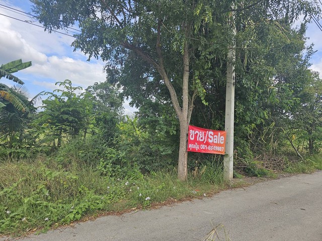 ประกาศฟรี! ซื้อ-ขาย-เช่า คอนโด บ้าน ทาวน์โฮม ที่ดิน และพื้นที่เชิงพาณิชย์ทั่วประเทศไทย ทุกทำเล ทุกงบประมาณ ไม่มีค่าใช้จ่าย ลงง่าย ขายไว เข้าถึงผู้ซื้อโดยตรง 5 16116pic4.jpg