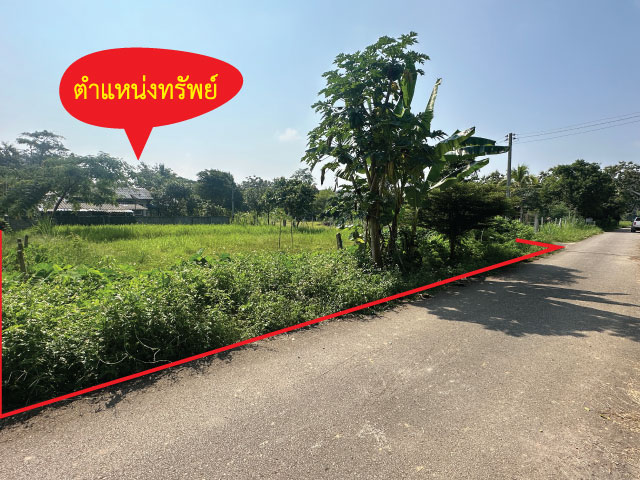 ประกาศฟรี! ซื้อ-ขาย-เช่า คอนโด บ้าน ทาวน์โฮม ที่ดิน และพื้นที่เชิงพาณิชย์ทั่วประเทศไทย ทุกทำเล ทุกงบประมาณ ไม่มีค่าใช้จ่าย ลงง่าย ขายไว เข้าถึงผู้ซื้อโดยตรง 2 180440pic1.jpg