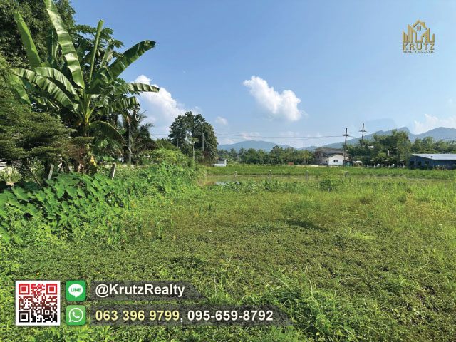 ประกาศฟรี! ซื้อ-ขาย-เช่า คอนโด บ้าน ทาวน์โฮม ที่ดิน และพื้นที่เชิงพาณิชย์ทั่วประเทศไทย ทุกทำเล ทุกงบประมาณ ไม่มีค่าใช้จ่าย ลงง่าย ขายไว เข้าถึงผู้ซื้อโดยตรง 5 180440pic4.jpg
