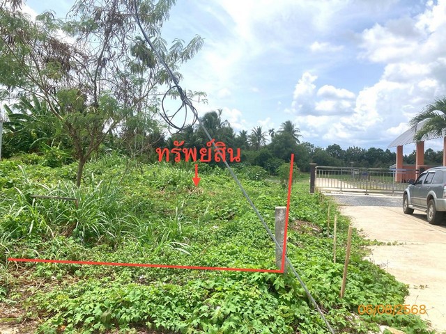ประกาศฟรี! ซื้อ-ขาย-เช่า คอนโด บ้าน ทาวน์โฮม ที่ดิน และพื้นที่เชิงพาณิชย์ทั่วประเทศไทย ทุกทำเล ทุกงบประมาณ ไม่มีค่าใช้จ่าย ลงง่าย ขายไว เข้าถึงผู้ซื้อโดยตรง 4 276418pic3.jpg