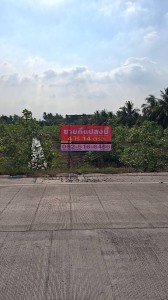 ประกาศฟรี! ซื้อ-ขาย-เช่า คอนโด บ้าน ทาวน์โฮม ที่ดิน และพื้นที่เชิงพาณิชย์ทั่วประเทศไทย ทุกทำเล ทุกงบประมาณ ไม่มีค่าใช้จ่าย ลงง่าย ขายไว เข้าถึงผู้ซื้อโดยตรง 3 295247pic2.jpg