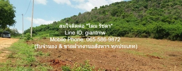 ประกาศฟรี! ซื้อ-ขาย-เช่า คอนโด บ้าน ทาวน์โฮม ที่ดิน และพื้นที่เชิงพาณิชย์ทั่วประเทศไทย ทุกทำเล ทุกงบประมาณ ไม่มีค่าใช้จ่าย ลงง่าย ขายไว เข้าถึงผู้ซื้อโดยตรง 5 21107pic4.jpg