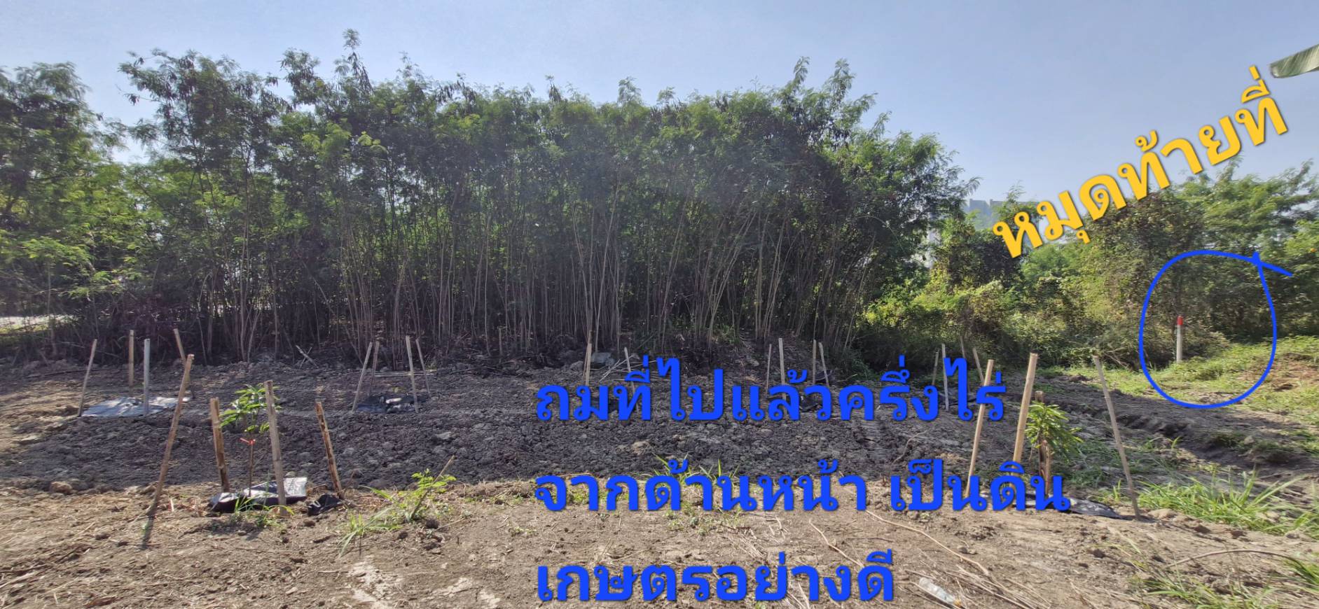 ประกาศฟรี! ซื้อ-ขาย-เช่า คอนโด บ้าน ทาวน์โฮม ที่ดิน และพื้นที่เชิงพาณิชย์ทั่วประเทศไทย ทุกทำเล ทุกงบประมาณ ไม่มีค่าใช้จ่าย ลงง่าย ขายไว เข้าถึงผู้ซื้อโดยตรง 3 323882pic2.jpg