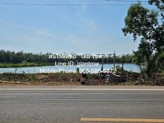 ประกาศฟรี! ซื้อ-ขาย-เช่า คอนโด บ้าน ทาวน์โฮม ที่ดิน และพื้นที่เชิงพาณิชย์ทั่วประเทศไทย ทุกทำเล ทุกงบประมาณ ไม่มีค่าใช้จ่าย ลงง่าย ขายไว เข้าถึงผู้ซื้อโดยตรง 4 15418pic3.jpg