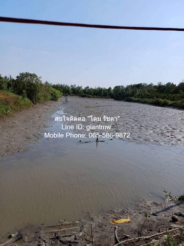 ประกาศฟรี! ซื้อ-ขาย-เช่า คอนโด บ้าน ทาวน์โฮม ที่ดิน และพื้นที่เชิงพาณิชย์ทั่วประเทศไทย ทุกทำเล ทุกงบประมาณ ไม่มีค่าใช้จ่าย ลงง่าย ขายไว เข้าถึงผู้ซื้อโดยตรง 5 15418pic4.jpg