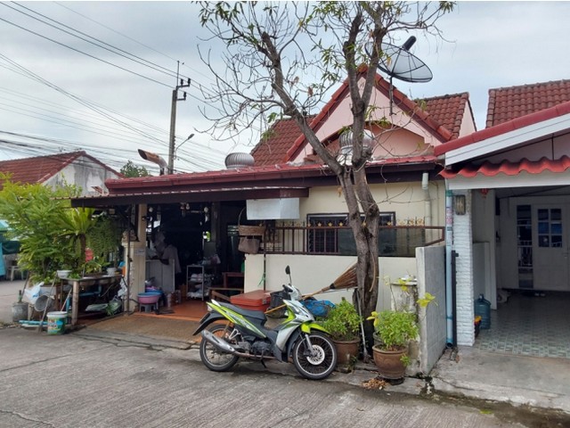 ประกาศฟรี! ซื้อ-ขาย-เช่า คอนโด บ้าน ทาวน์โฮม ที่ดิน และพื้นที่เชิงพาณิชย์ทั่วประเทศไทย ทุกทำเล ทุกงบประมาณ ไม่มีค่าใช้จ่าย ลงง่าย ขายไว เข้าถึงผู้ซื้อโดยตรง 2 278612pic1.jpg