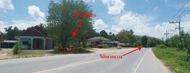 ประกาศฟรี! ซื้อ-ขาย-เช่า คอนโด บ้าน ทาวน์โฮม ที่ดิน และพื้นที่เชิงพาณิชย์ทั่วประเทศไทย ทุกทำเล ทุกงบประมาณ ไม่มีค่าใช้จ่าย ลงง่าย ขายไว เข้าถึงผู้ซื้อโดยตรง 2 205113pic1.jpg
