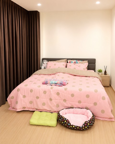 ประกาศฟรี! ซื้อ-ขาย-เช่า คอนโด บ้าน ทาวน์โฮม ที่ดิน และพื้นที่เชิงพาณิชย์ทั่วประเทศไทย ทุกทำเล ทุกงบประมาณ ไม่มีค่าใช้จ่าย ลงง่าย ขายไว เข้าถึงผู้ซื้อโดยตรง 5 279596pic4.jpg