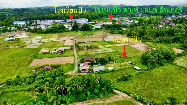 ประกาศฟรี! ซื้อ-ขาย-เช่า คอนโด บ้าน ทาวน์โฮม ที่ดิน และพื้นที่เชิงพาณิชย์ทั่วประเทศไทย ทุกทำเล ทุกงบประมาณ ไม่มีค่าใช้จ่าย ลงง่าย ขายไว เข้าถึงผู้ซื้อโดยตรง 3 279691pic2.jpg